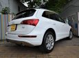 Audi Q5   2.0T   2009 - Cần bán Audi Q5 2.0T 2009, màu trắng số tự động