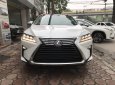 Lexus RX 350 Luxury 2019 - Bán Lexus RX 350 Luxury sx 2019, màu trắng, nhập khẩu nguyên chiếc 