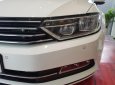 Volkswagen Passat S 2015 - Bán Passat S, xe nhập khẩu Đức, giá tốt nhất Việt Nam, LH: 0901933522 - Đừng mua xe khi chưa đọc tin này