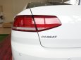 Volkswagen Passat S 2015 - Bán Passat S, xe nhập khẩu Đức, giá tốt nhất Việt Nam, LH: 0901933522 - Đừng mua xe khi chưa đọc tin này