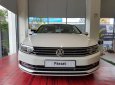 Volkswagen Passat S 2015 - Bán Passat S, xe nhập khẩu Đức, giá tốt nhất Việt Nam, LH: 0901933522 - Đừng mua xe khi chưa đọc tin này