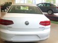 Volkswagen Passat   2.0 AT  2015 - Bán xe Volkswagen Passat 2.0 AT 2015, màu trắng, nhập khẩu nguyên chiếc