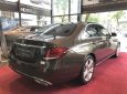 Mercedes-Benz E class E250 2017 - Bán xe Mercedes E250 cũ, đăng ký 2018, màu nâu như mới, giá rẻ hơn 400 triệu