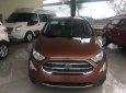 Ford EcoSport 1.5 Titanium 2018 - Bán Ford EcoSport 1.5 Titanium sản xuất 2018 giá cạnh tranh