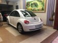 Volkswagen New Beetle AT 2010 - Cần bán Volkswagen New Beetle AT sản xuất năm 2010, nhập khẩu nguyên chiếc