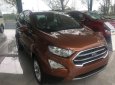 Ford EcoSport 1.5 Titanium 2018 - Bán Ford EcoSport 1.5 Titanium sản xuất 2018 giá cạnh tranh