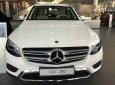 Mercedes-Benz GL Mới Mercedes-Benz C 200 2018 - Xe Mới Mercedes-Benz GLC 200 2018