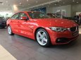 BMW 4 Series Mới   420i 2017 - Xe Mới BMW 4 Series 420i 2017