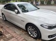 BMW 1 Cũ  5 520i 206 2016 - Xe Cũ BMW 5 520i 2016