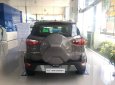 Ford EcoSport Titanium 1.5L 2018 - Giá xe Ford Ecosport Titanium 2018 tốt nhất miền Nam, ưu đãi tiền mặt, BHVC, phim 3M, bệ bước, camera hành trình