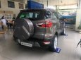 Ford EcoSport Titanium 1.5L 2018 - Giá xe Ford Ecosport Titanium 2018 tốt nhất miền Nam, ưu đãi tiền mặt, BHVC, phim 3M, bệ bước, camera hành trình