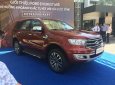 Ford Everest 2.0 2018 - Bán Everest model 2019 bản 2.0 Bi-turbo nhập Thái, giao xe sớm nhất, nhiều ưu đãi hấp dẫn