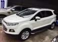 Ford EcoSport Titanium 2016 - Mình cần bán xe Ford EcoSport Titanium sx 2016, màu trắng, 560 triệu