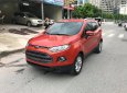 Ford EcoSport Cũ   TITANIUM 2014 - Xe Cũ Ford EcoSport TITANIUM 2014