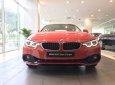 BMW 4 Series Mới   420i 2017 - Xe Mới BMW 4 Series 420i 2017