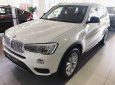 BMW X3 Mới   Xdrive 20i 2017 - Xe Mới BMW X3 Xdrive 20i 2017