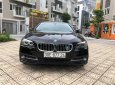 BMW 1 Cũ  5 520i 206 2016 - Xe Cũ BMW 5 520i 2016