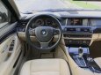 BMW 1 Cũ  5 520i 206 2016 - Xe Cũ BMW 5 520i 2016