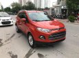 Ford EcoSport Cũ   AT 2014 - Xe Cũ Ford EcoSport AT 2014