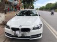 BMW 1 Cũ  5 520i 206 2016 - Xe Cũ BMW 5 520i 2016