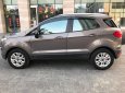 Ford EcoSport Cũ   TITANIUM 2015 - Xe Cũ Ford EcoSport TITANIUM 2015