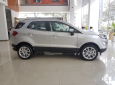 Ford EcoSport Mới   Titanium 1.5L AT 2018 - Xe Mới Ford EcoSport Titanium 1.5L AT 2018