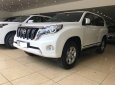 Toyota Prado TXL 2014 - Bán Toyota Prado TXL xe sản xuất 2014, đăng ký cuối 2014, tên tư nhân biển Hà Nội, xe chạy 5 vạn km