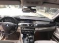 BMW 5 Series 523i 2010 - Cần bán lại xe BMW 5 Series 523i 2010, màu nâu, nhập khẩu nguyên chiếc chính chủ