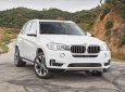 BMW X5   2018 - Bán BMW X5 đời 2018, màu trắng, xe nhập