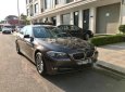 BMW 5 Series  523i  2010 - Xe BMW 5 Series 523i năm sản xuất 2010 