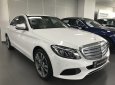 Mercedes-Benz C ũ Meredes-Benz  250 2017 - Xe Cũ Mercedes-Benz C 250 2017