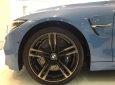 BMW M4   2017 - Cần bán BMW M4 đời 2017, màu xanh lam, nhập khẩu chính hãng