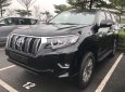 Toyota Prado VX 2018 - Cần bán Toyota Prado VX đời 2018, màu đen, nhập khẩu