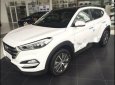 Hyundai Tucson 2018 - Bán Hyundai Tucson đời 2018, màu trắng, xe nhập