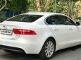 Jaguar XE   2.0 AT  2016 - Xe Jaguar XE 2.0 AT sản xuất 2016, màu trắng, nhập khẩu