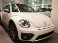 Volkswagen Beetle 2018 - Cần bán Volkswagen Beetle sản xuất 2018, màu trắng, xe nhập