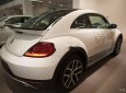 Volkswagen Beetle 2018 - Cần bán Volkswagen Beetle sản xuất 2018, màu trắng, xe nhập