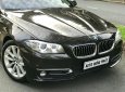 BMW 5 Series 528i 2016 - Cần bán xe BMW 5 Series 528i đời 2016, màu nâu, xe nhập