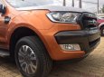 Ford Ranger Wildwak 3.2 2018 - Cần bán RangeR Wildwak 32 2018 - xe có sẵn - giao ngay trong ngày