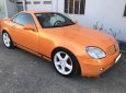 Mercedes-Benz SLK class  SLK250 1990 - Cần bán Mercedes SLK250 năm 1990, nhập khẩu