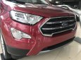 Ford EcoSport 1.0L Ecoboost 2018 - Khuyến mại siêu khủng cho EcoSport 1.0L Ecoboost tại Hải Phòng đủ màu, hỗ trợ trả góp 80% L/h: 0987987588