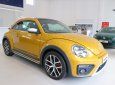 Volkswagen Beetle 2018 - Bán xe Volkswagen Beetle Dune, hỗ trợ vay đến 85% ưu đãi hấp dẫn. Hotline 0938017717