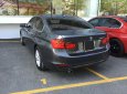 BMW 3 Series 320i 2014 - Bán BMW 3 Series 320i năm sản xuất 2014, màu xám (ghi), xe nhập, giá 970tr