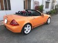 Mercedes-Benz SLK class  SLK250 1990 - Cần bán Mercedes SLK250 năm 1990, nhập khẩu