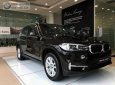 BMW X5 xDrive35i 2018 - Cần bán xe BMW X5 xDrive35i sản xuất 2018, màu đen, nhập khẩu