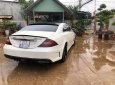 Mercedes-Benz CLS class CLS350 2004 - Bán xe Mercedes CLS350 đời 2004, màu trắng, giá 560tr