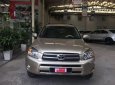 Toyota RAV4   2008 - Cần bán xe Toyota RAV4 đời 2008, màu vàng, nhập khẩu