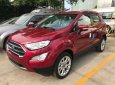 Ford EcoSport  1.0L AT Titanium 2018 - Bán Ford Ecosport Titanium tại Điện Biên giao ngay, đủ màu, giảm cực mạnh, hỗ trợ 80%, 8 năm - LH: 0942552831