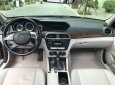 Mercedes-Benz C class C 250 2014 - Bán Mercedes C250 2014, màu nâu, xe nhập