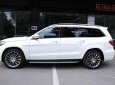 Mercedes-Benz GLS 500 2016 - Bán Mercedes GLS500 2016, siêu lướt siêu chất bao test hãng